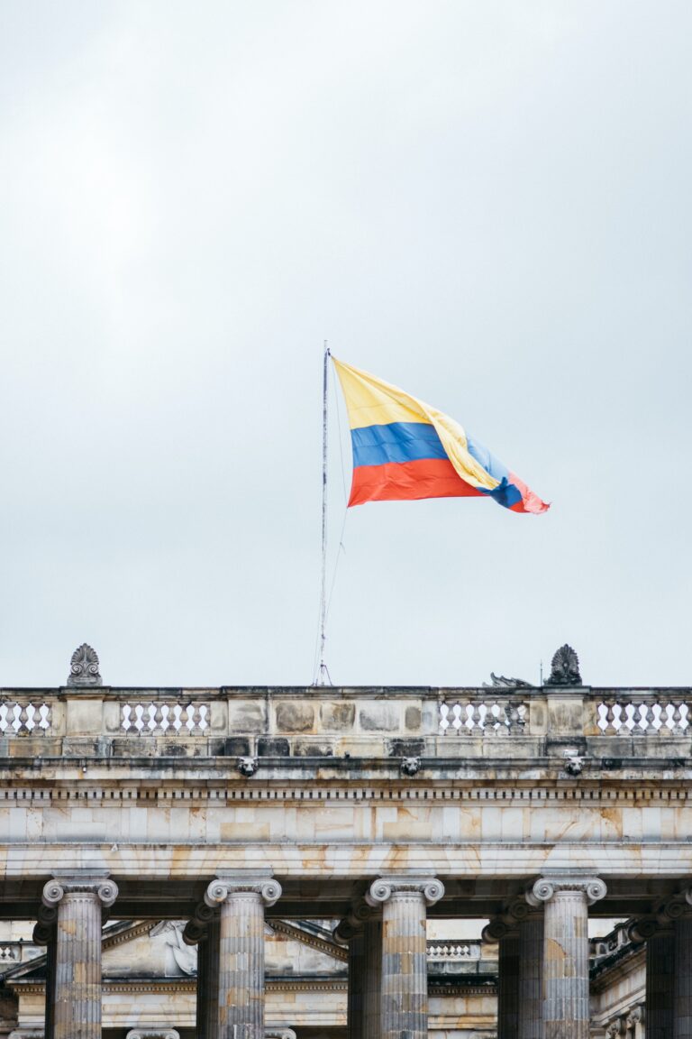 PRE-DETERMINED INDEMNIFICATION REGULATIONS FOR TRADEMARK INFRINGEMENT ACTIONS IN COLOMBIA