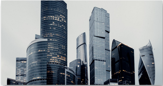 Establishing A Business Entity: An International Guide